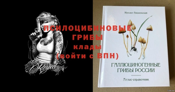 шишки Алексин