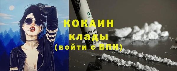 шишки Алексин