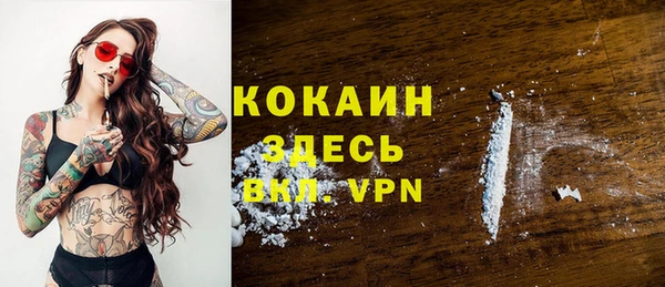 гидра Каменногорск