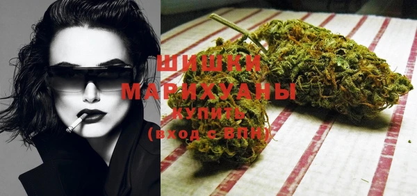 шишки Алексин