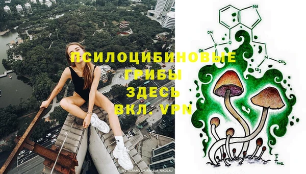 спайс Алексеевка