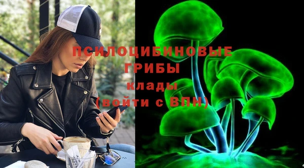шишки Алексин