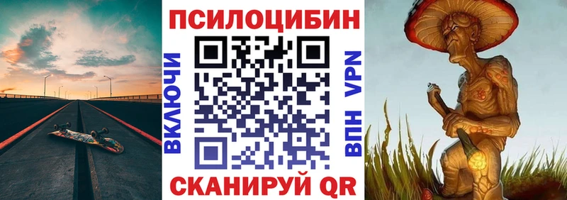сколько стоит  Моздок  Псилоцибиновые грибы Psilocybine cubensis 